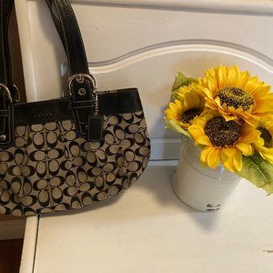 Coach Vintage